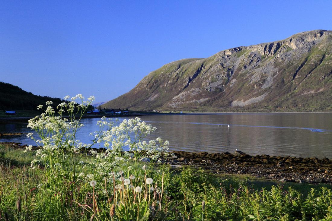 Hansnes Havfiske Exteriör bild