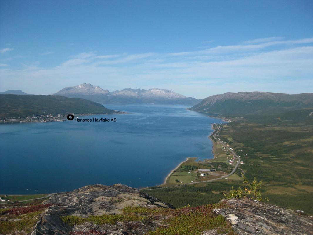 Hansnes Havfiske Exteriör bild