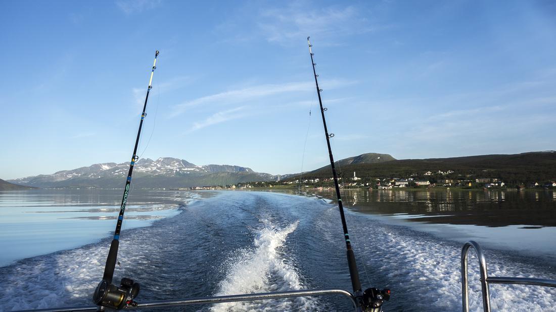 Hansnes Havfiske Exteriör bild